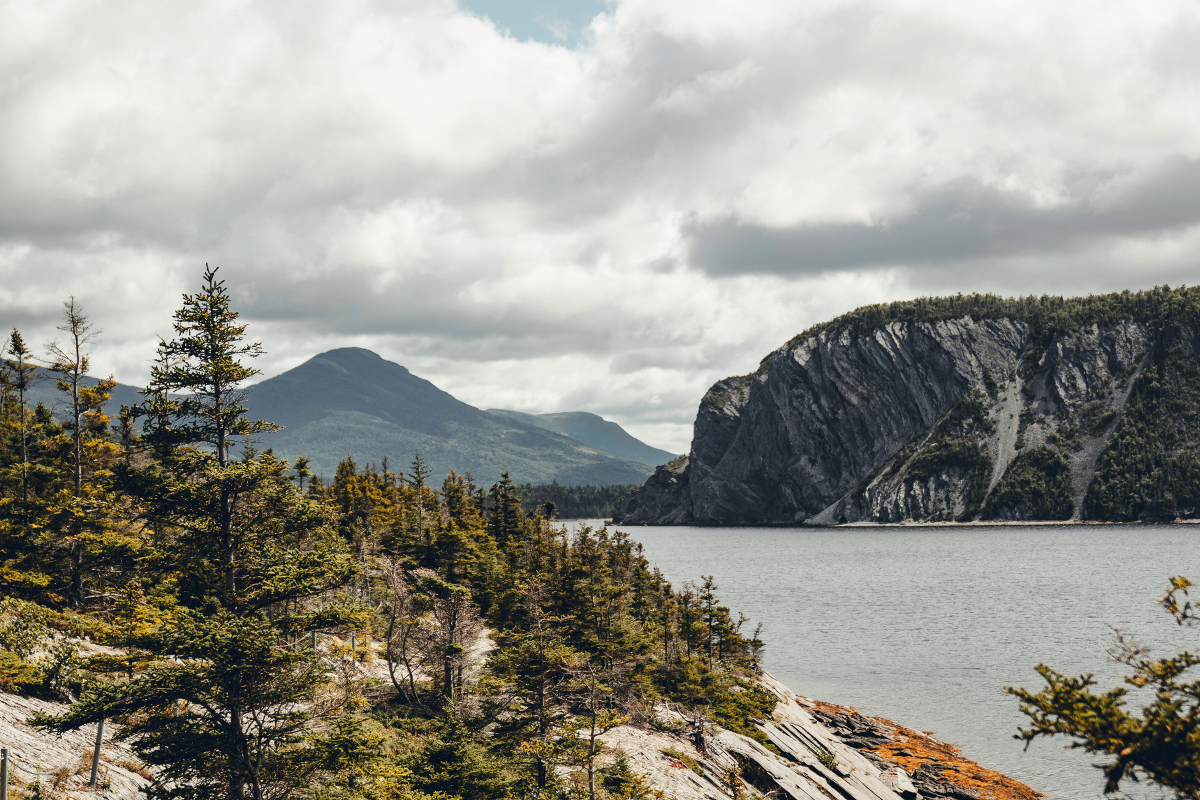 300 woody point, gros morne national park, newfoundland and labrador.webp